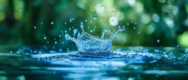 Dia Mundial del Agua