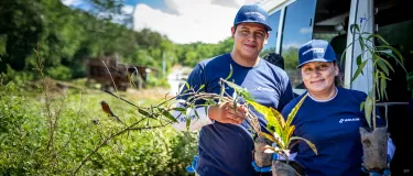 Voluntariado Regional
