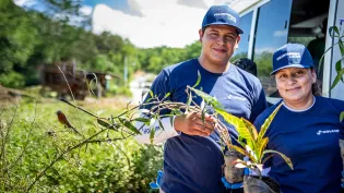 Voluntariado Regional