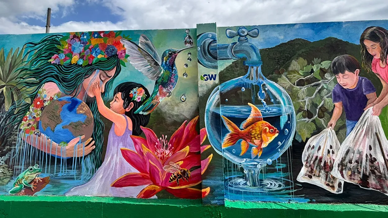 Voluntariado Regional