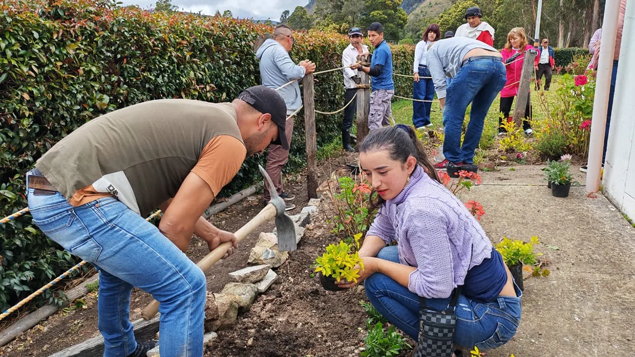 Voluntariado Regional