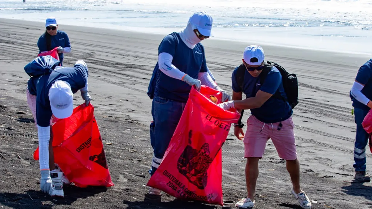 Voluntariado Regional