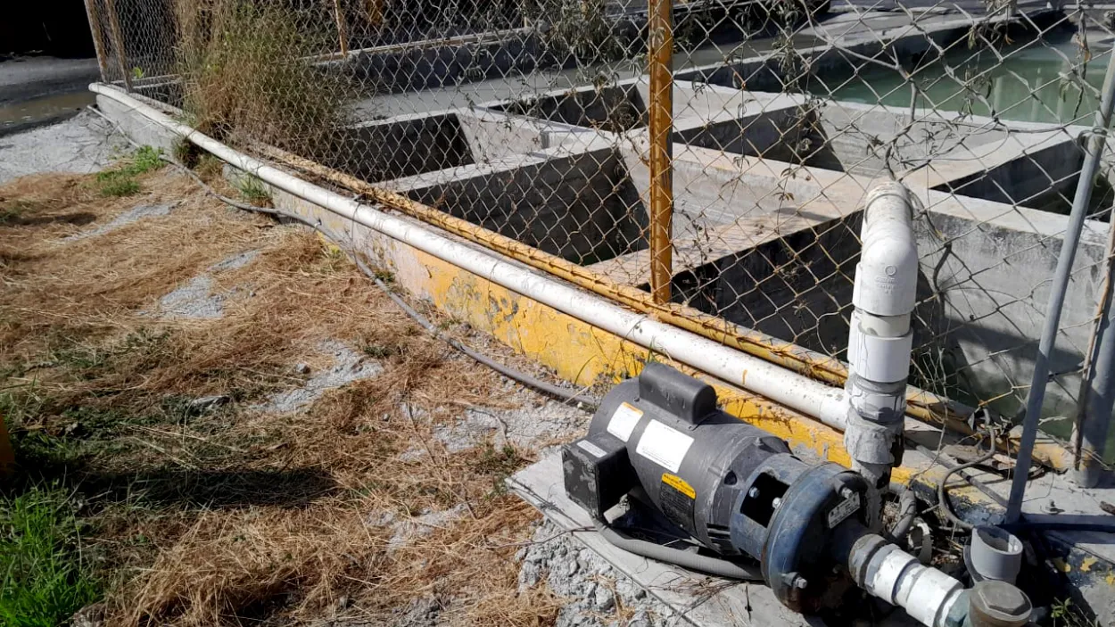 Dia Mundial del Agua